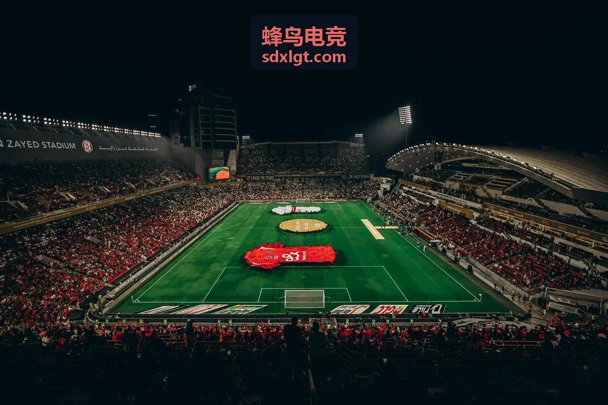 蜂鸟电竞战队排名与数据分析