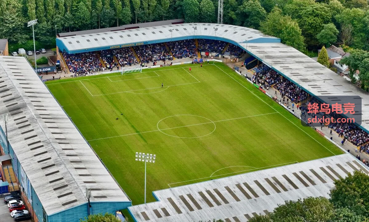 蜂鸟电竞选手数据统计面板